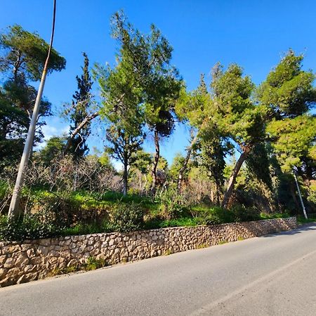 Cozy Apartment For 4 In Kolonaki, Lycabettus Athens Ngoại thất bức ảnh